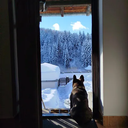 Goc Planinska Kuca Milja * Kraljevo